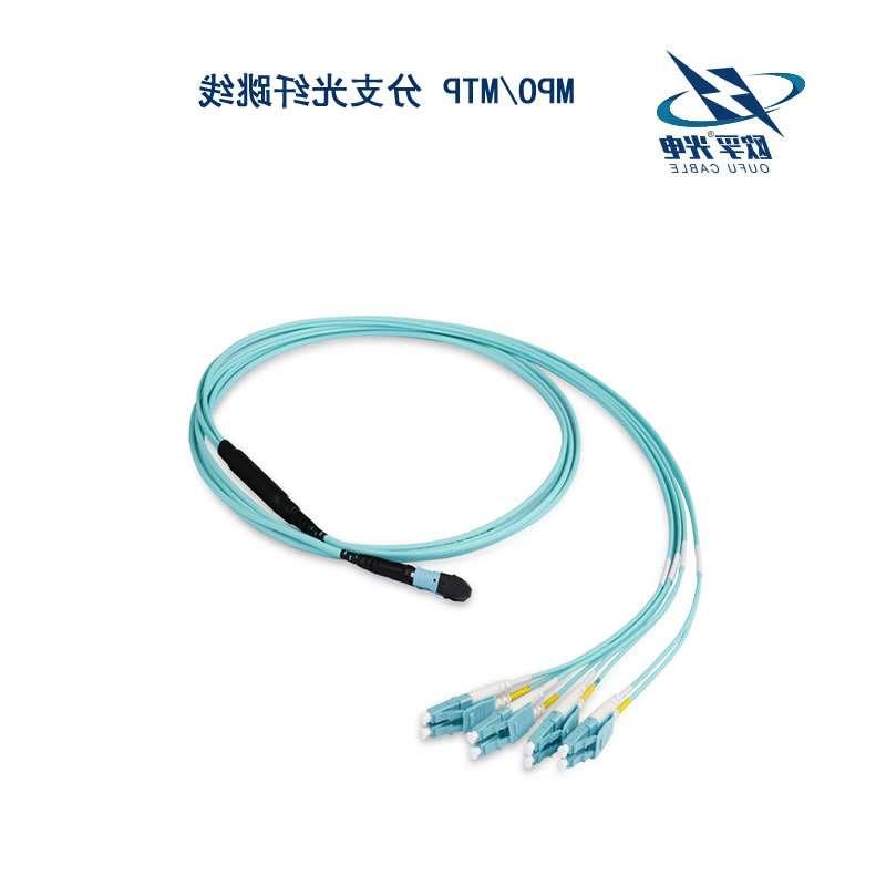 果洛藏族自治州MPO/MTP 分支光纤跳线